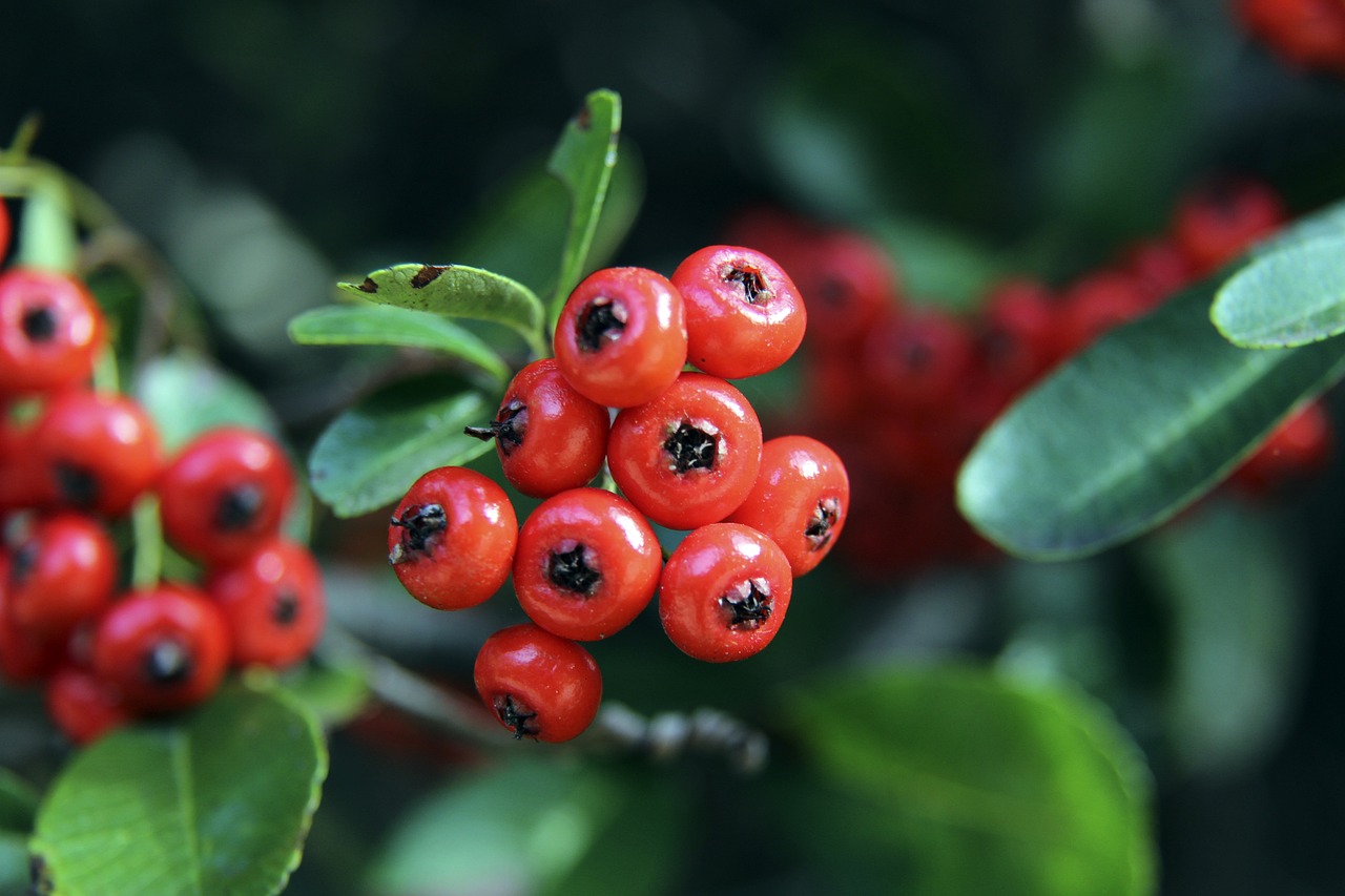 成为比赛最 成为比赛最