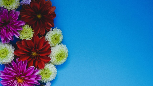 到亚冬会整 到亚冬会整