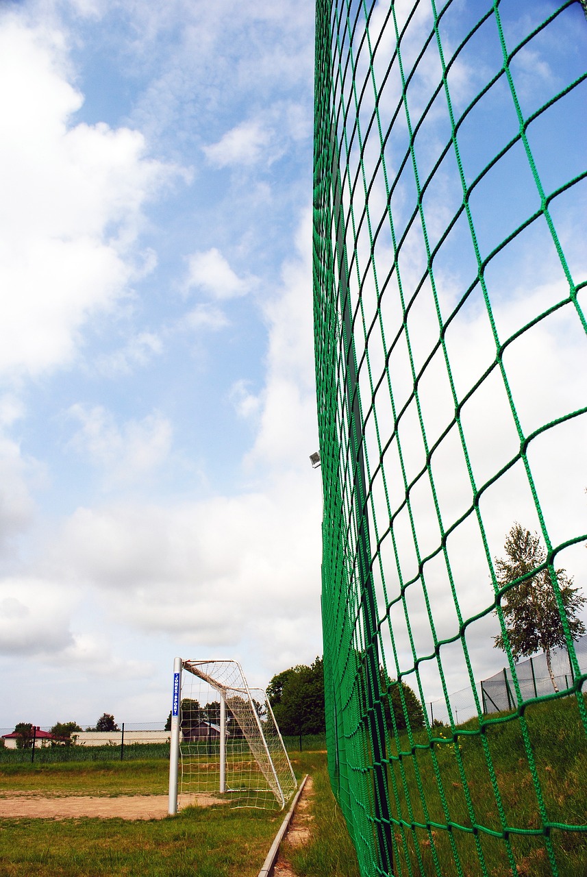 更加剧了这 更加剧了这