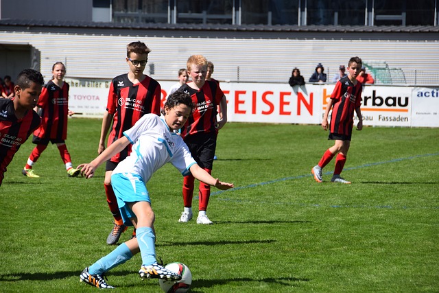 在足球场上 在足球场上