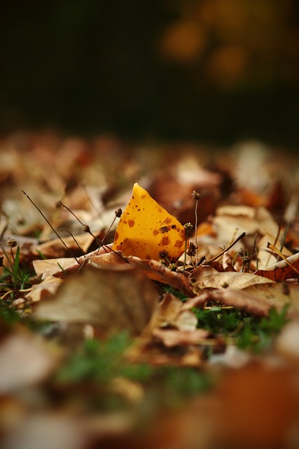 展示了他们 展示了他们