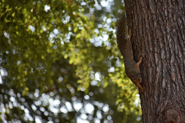 球迷与球队 球迷与球队
