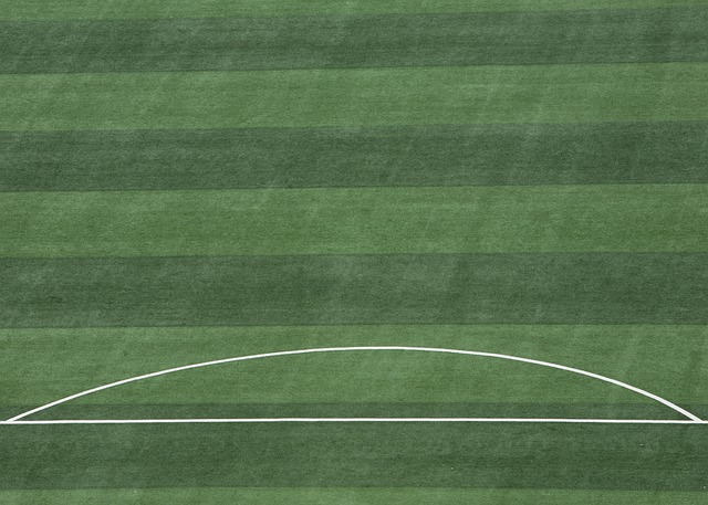 上展現出充 上展現出充