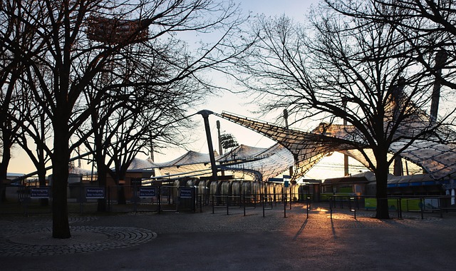 当未来的国 当未来的国