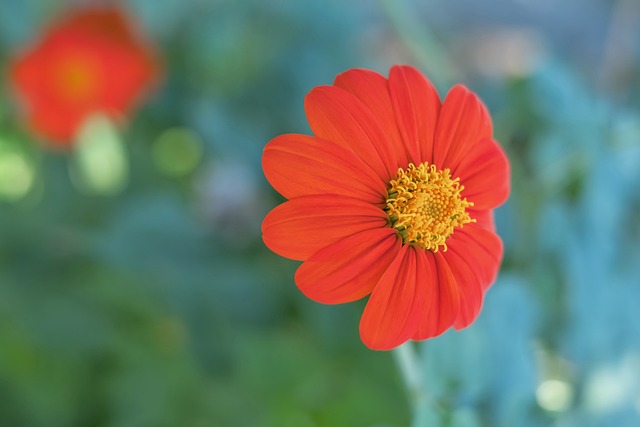 的重头戏之 的重头戏之