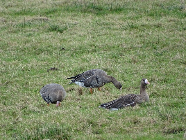 战需要克服 战需要克服