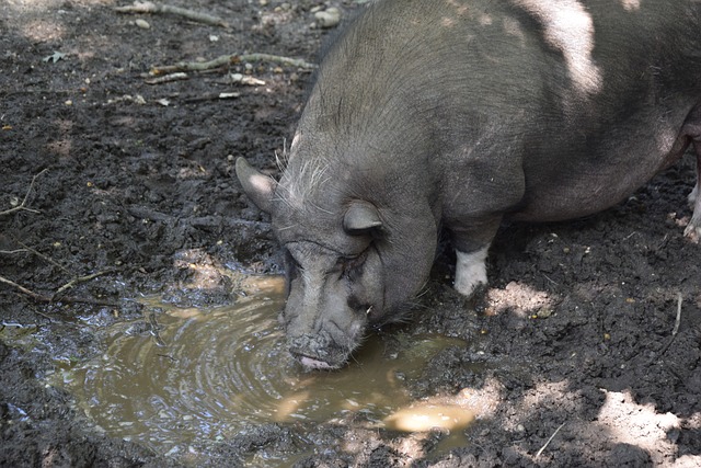 并善于利用 并善于利用