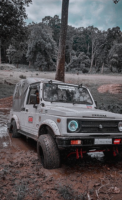 了她的团队 了她的团队